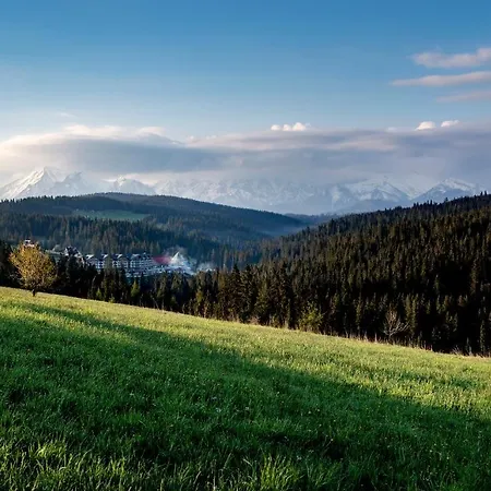 Hotel Bukovina-3